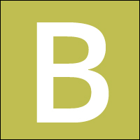 Organization Logo